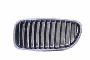 Vorderer oberer Gitter BMW 5 (F10) 520 d
