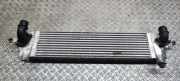 Ladeluftkühler NISSAN QASHQAI / QASHQAI +2 I (J10, JJ10) 1.5 dCi G3062008