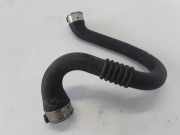 Schlauch für Luftversorgung Renault Grand Scenic II (JM) 144600003R