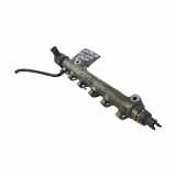 Einspritzleiste Hyundai Santa Fe II (CM) 3140027400