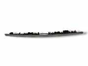 Kennzeichenbeleuchtung MERCEDES-BENZ C (W204) C 250 CDI 4-matic (204.082)