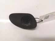 Lautsprecher im Armaturenbrett