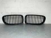 Vorderer oberer Gitter BMW 5 (F10) 550 i xDrive 7200727