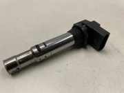 Hochspannungszündkabel (Steckkabel) VW TIGUAN (5N_) 1.4 TSI 0040102030