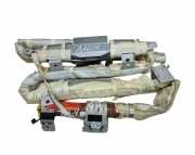 Airbag Dach rechts Nissan X-Trail II (T31) NXJG1077040136