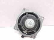 Türlautsprecher vorne links