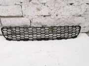 Gitter vorne unten TOYOTA COROLLA Estate (_E12_) 2.0 D-4D (CDE120_) 531120F010