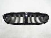 Gitter JAGUAR X-TYPE (X400) 2.0 D 1X435510AE