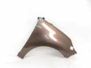 Kotflügel vorne rechts RENAULT SCÉNIC III (JZ0/1_) 2.0 16V (JZ0G, JZ0P, JZ1E, JZ1P)