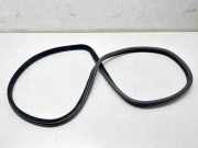 Türdichtung Land Rover Range Rover Evoque I (L538) BJ32253A10A