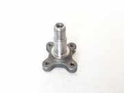 Radlagergehäuse rechts hinten Renault Zoe (BFM) 430429377R