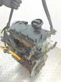 Motor VW GOLF V Variant (1K5) 1.9 TDI 007981 BXF007981