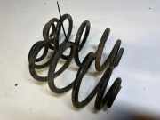 Schraubenfeder hinten links