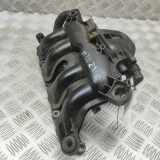 Ansaugkrümmer Peugeot RCZ () 0261230253