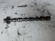 Ansaugkrümmer Audi A6 (4F, C6) 53623001