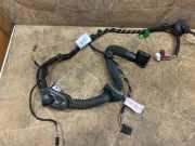 SONSTIGE KABELBÄUME MERCEDES-BENZ CLS Shooting Brake (X218) CLS 63 AMG (218.974) A2185401910