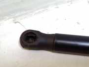 Gasfeder für Motorhaube VW Passat B7 (362) 3C8823359