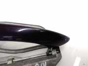 Türgriff links hinten BMW X5 (E53)