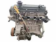 Motor ohne Anbauteile (Benzin) Hyundai i20 (PB) G4LA