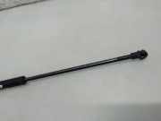 Heckklappe Gasdruckfeder links TOYOTA PRIUS Hatchback (_W2_) 1.5 (NHW2_)