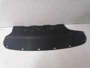 Hinterer mittlerer unterer Schutz BMW 5 (F10) 528 i xDrive 7228516