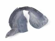 Innenkotflügel vorne links