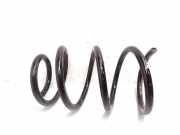 Fahrwerksfeder vorne rechts RENAULT MASTER III Furgon (FV) 2.3 dCi 100 FWD (FV0A, FV0B, FV0G, FV0K)