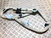 SRS Modul Dach links AUDI A6 (4F2, C6) 2.0 TDI 4F9880741A