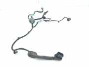Türverkabelung hinten links LAND ROVER RANGE ROVER EVOQUE (L538) 2.2 D 4x4 BJ3214632