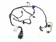 Türverkabelung hinten links MASERATI QUATTROPORTE V 4.7 S 200536