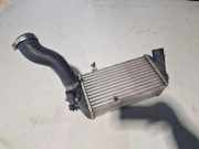 Ladeluftkühler HYUNDAI i20 (PB, PBT) 1.1 CRDi 282702A090