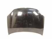 Motorhaube VW GOLF V (1K1) 2.0 TDI 16V