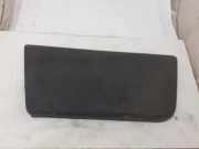 Türzierleiste vorne rechts FIAT DUCATO Furgon (250_, 290_) 120 Multijet 2,3 D 1305776070 b803