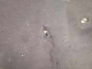 Schallschutz VOLVO V40 Hatchback D2 31385365