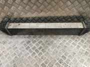 Ladeluftkühler MERCEDES-BENZ B (W245) B 180 CDI (245.207) a1695000000 1695000000