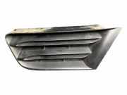 Vorderer oberer Gitter RENAULT GRAND SCÉNIC II (JM0/1_) 1.5 dCi (JM02, JM13) 1013577