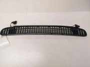 Gitter BMW 3 (E46) 320 d 51138208484