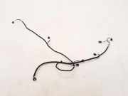 Kabelbaum Hinteren Parksensoren RENAULT TWINGO III (BCM_) 1.0 SCe 70 240158348R