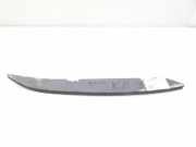 Andere Aufbauteile NISSAN PATHFINDER III (R51) 2.5 dCi 4WD