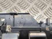 Ziergitter Peugeot 407 SW () 9644589777