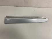 Kotflügelzierleiste hinten links MERCEDES-BENZ CLK Cabrio (A209) CLK 280 (209.454) A2096902562