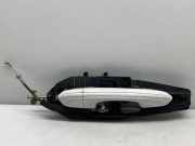 Türaußengriff hinten links FORD S-MAX 2.0 TDCi 01041485000 7212615