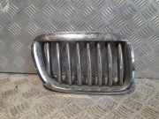 Kühlergrill komplett BMW X5 (E53)