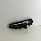 Türaußengriff vorne links