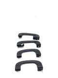 Dachgriffset (innen) BMW X5 (E70) xDrive 50 i 6977696 6977691