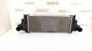 Ladeluftkühler MERCEDES-BENZ R (W251, V251) R 280 CDI 4-matic (251.020) 1645001900