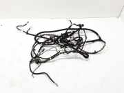 Kabelbaum Renault Trafic III Kasten (FG) 241639537R