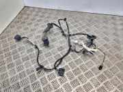 Kabel Tür vorne rechts FORD S-MAX (WA6) 2.2 TDCi 9g9t14k138