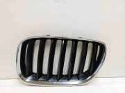 Vorderer oberer Gitter BMW X5 (E53) 3.0 d 51137124815 51137113733