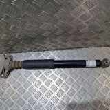 Stoßdämpfer hinten links VW GOLF V (1K1) 1.9 TDI 814902000758